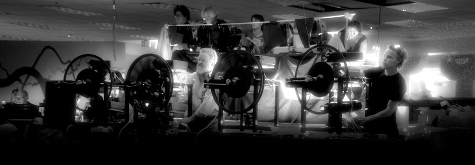 Bird In Flight Projector