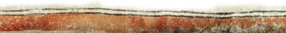 cup bottom