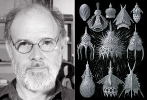 David Lebrun