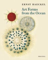 Art Forms from the Ocean. The Radiolarian Prints of Ernst Haeckel