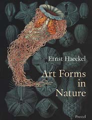 Art Forms in Nature: The Prints of Ernst Haeckel