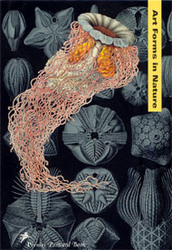 Art Forms in Nature Mini Book